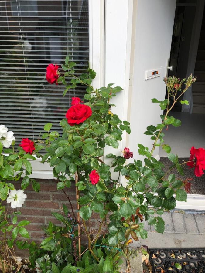 Vakantiewoning In Middelburg Zeeland Dış mekan fotoğraf